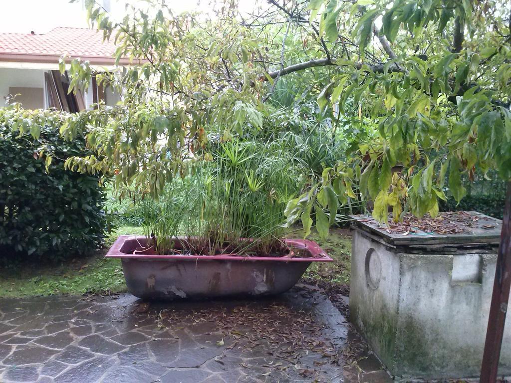 Casa Irene Bed & Breakfast Torri di Quartesolo Exterior photo